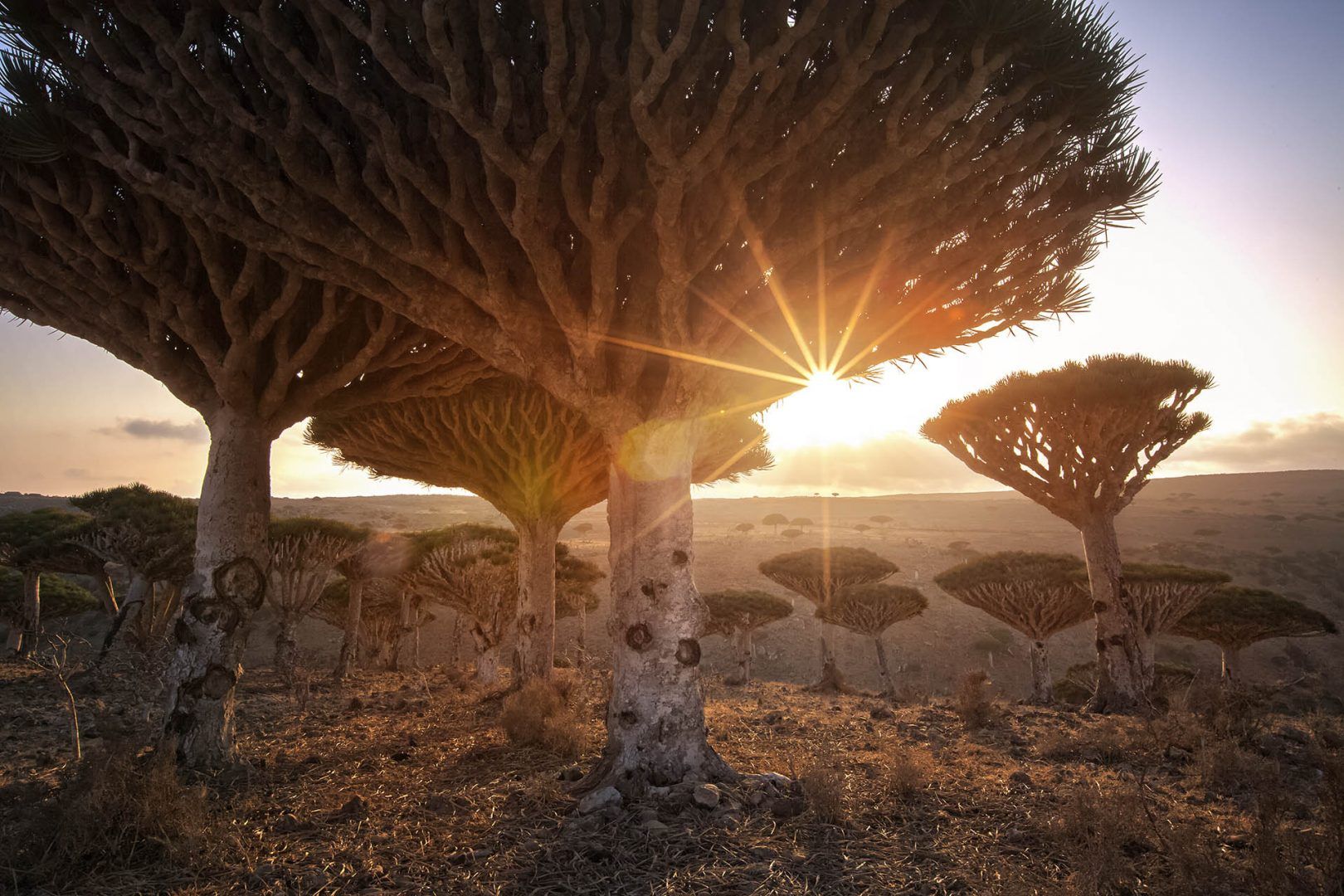10 Unusual Places Around the World with Wild Claims to Fame 10 Unusual Places Around the World with Wild Claims to Fame
