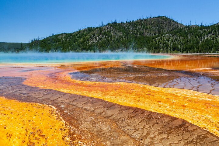 7 Best Yellowstone Tours from Bozeman for an Unforgettable National Park Adventure 7 Best Yellowstone Tours from Bozeman for an Unforgettable National Park Adventure