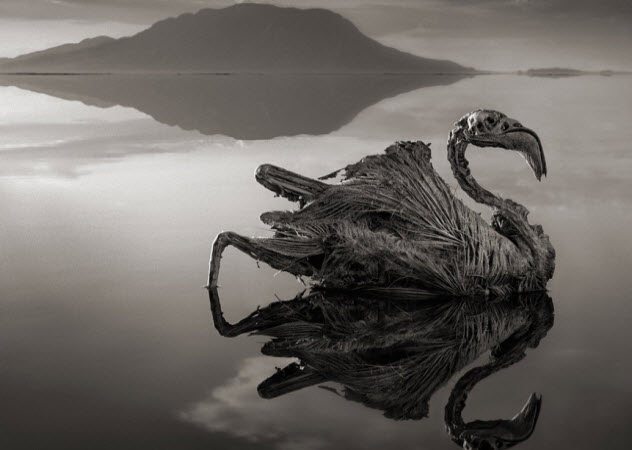10 Strange Artworks You Won’t Believe Are Real 10 Strange Artworks You Won’t Believe Are Real