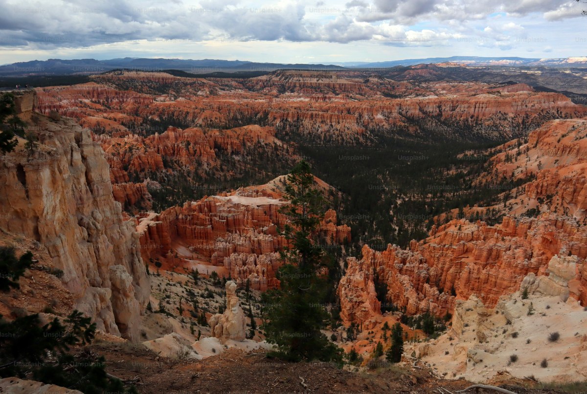 14 Breathtaking Western State Parks That Feel Just Like National Parks 14 Breathtaking Western State Parks That Feel Just Like National Parks
