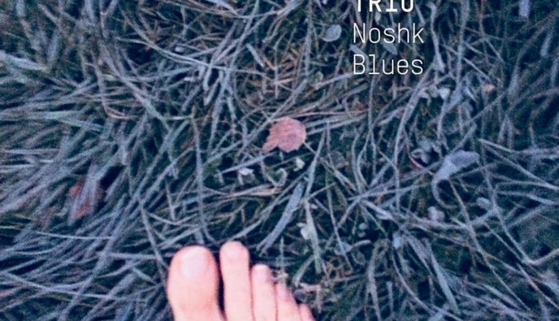 Erlend Skomsvoll Noshk Blues Erlend Skomsvoll Noshk Blues
