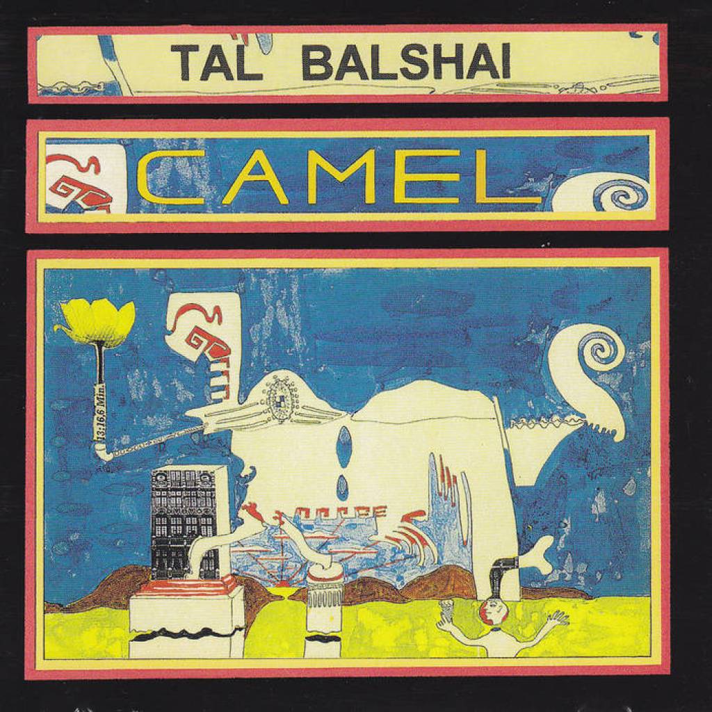 Tal Balshai Camel Tal Balshai Camel