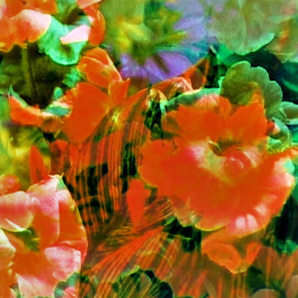 AGogol&NaabtalDeath AGogol&NaabtalDeath