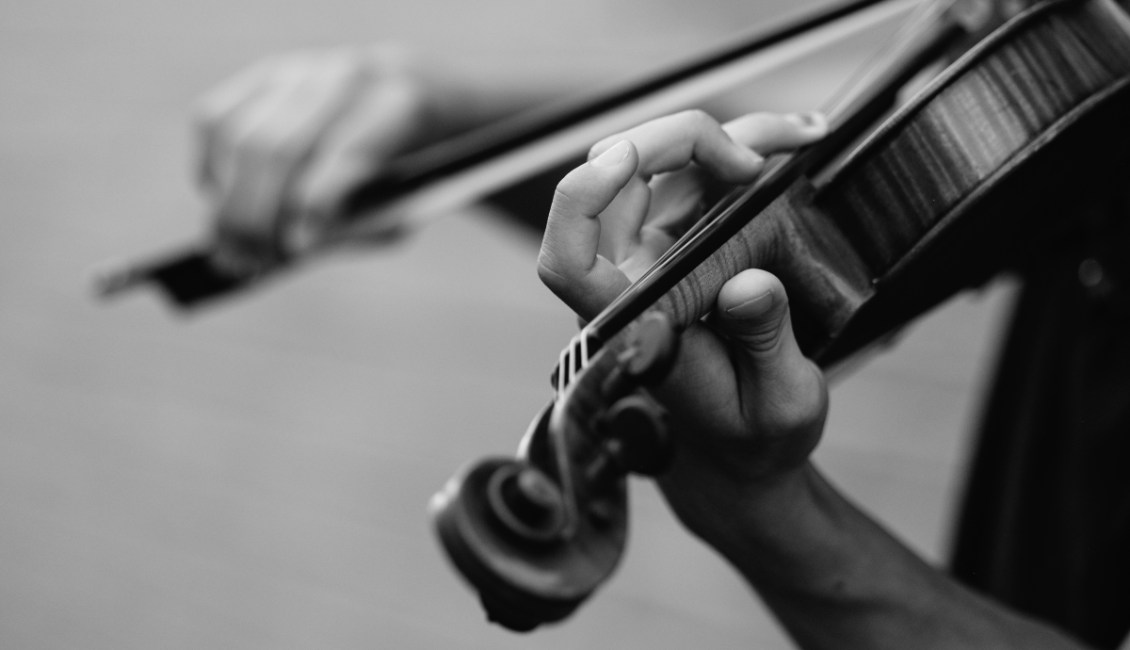 violin violin