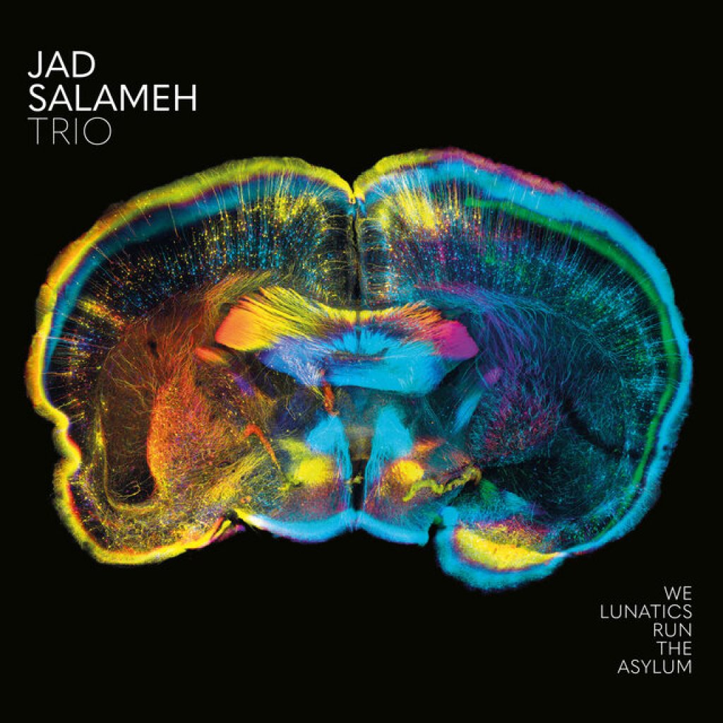 We Lunatics Run the Asylum Jad Salameh Trio We Lunatics Run the Asylum Jad Salameh Trio