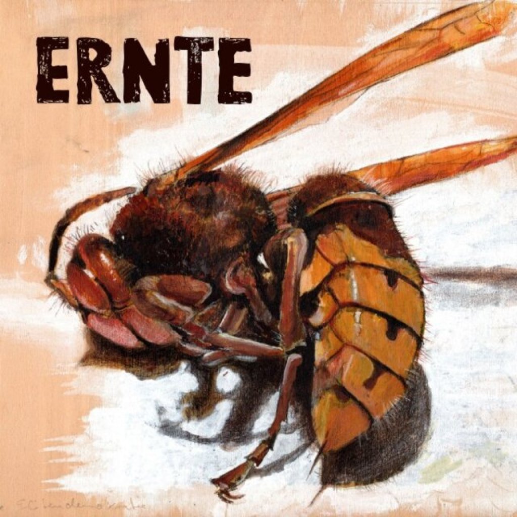 Ernte - Ernte Ernte - Ernte