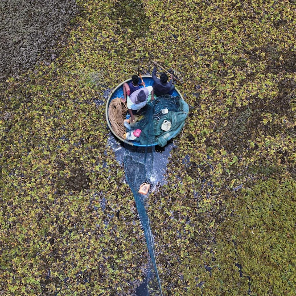 As local weather dangers develop, India’s Bengaluru is attempting to save lots of its vanishing lakes As local weather dangers develop, India’s Bengaluru is attempting to save lots of its vanishing lakes