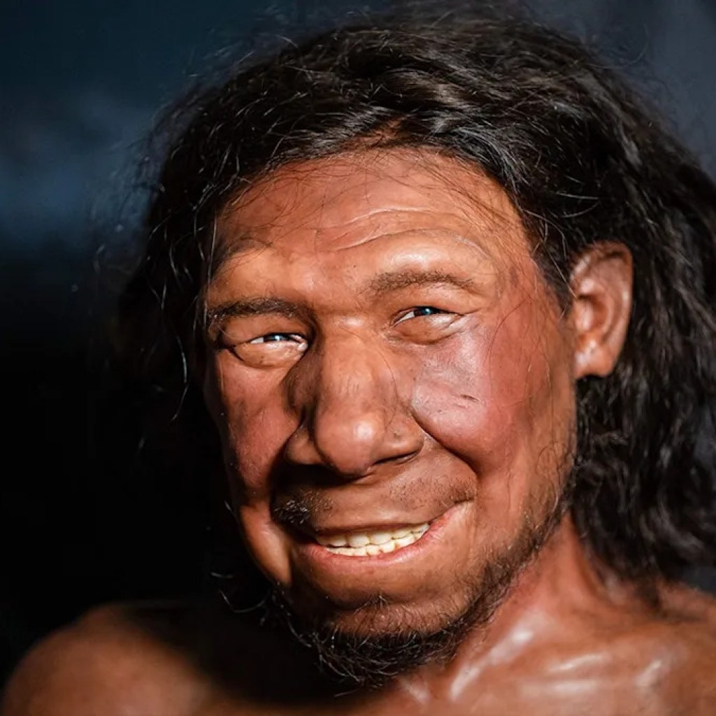 Neanderthals extracted animal fats in superior meals prep ‘fats factories’ 125,000 years in the past: report Neanderthals extracted animal fats in superior meals prep ‘fats factories’ 125,000 years in the past: report