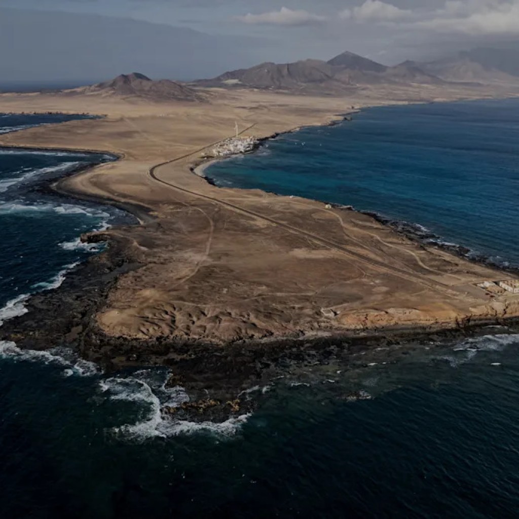 ‘Our findings are deeply regarding’ ‘Our findings are deeply regarding’