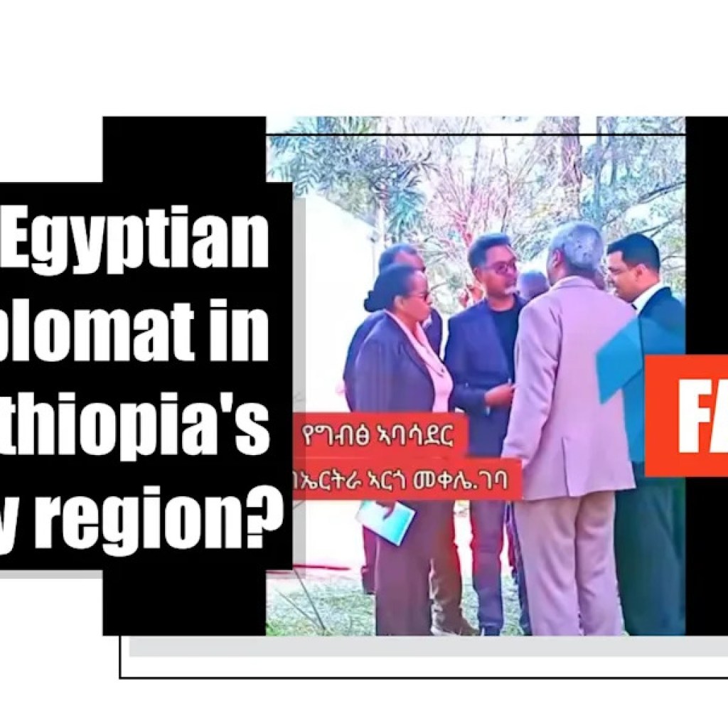 Clip exhibits Indian physician, not Egyptian diplomat, visiting Ethiopia’s Tigray area Clip exhibits Indian physician, not Egyptian diplomat, visiting Ethiopia’s Tigray area