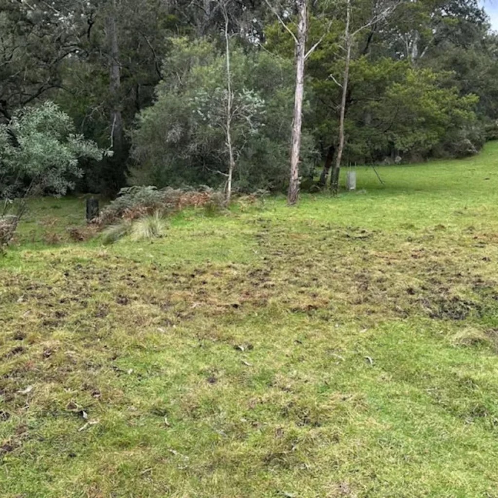 Annoyed landowner discovers alarming trigger behind devastating property harm: ‘It is heartbreaking to see’ Annoyed landowner discovers alarming trigger behind devastating property harm: ‘It is heartbreaking to see’