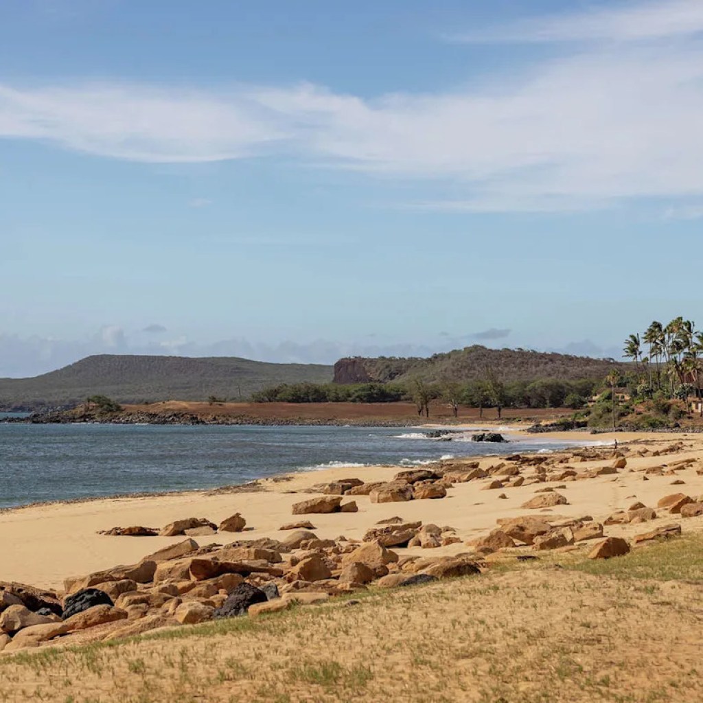 Hawaiians unite to purchase again land from billionaire in a transfer by no means seen earlier than Hawaiians unite to purchase again land from billionaire in a transfer by no means seen earlier than