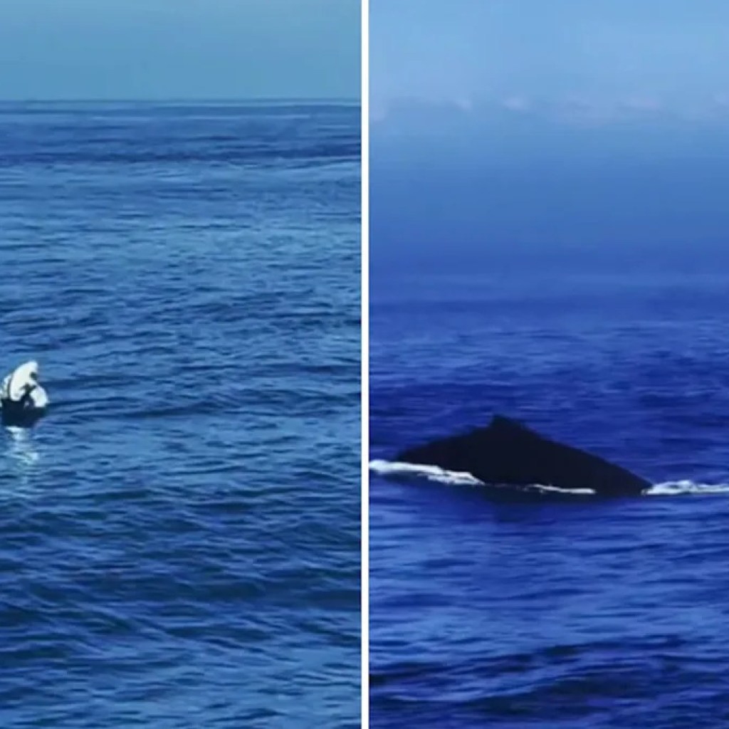 ‘Why are these not banned?’ ‘Why are these not banned?’