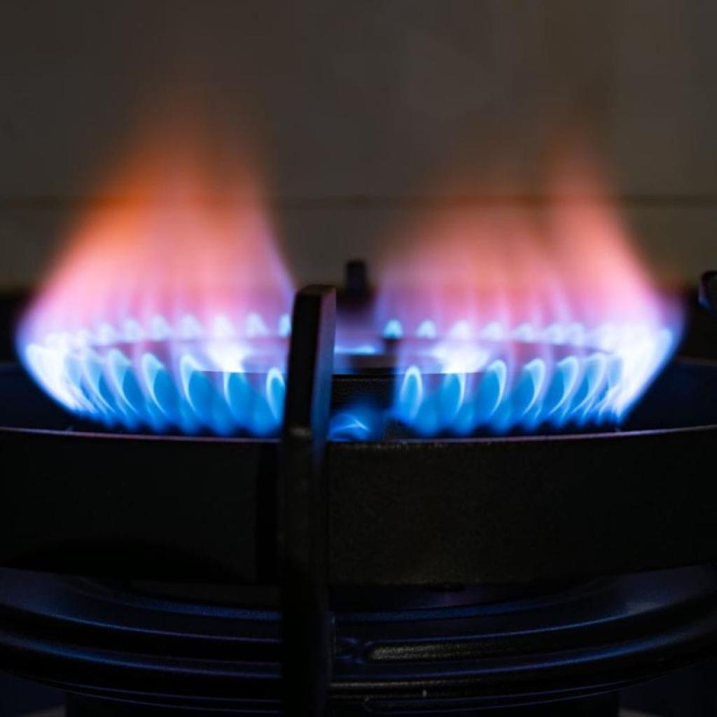 Nat-Fuel Costs Rally on Colder US Forecasts for Early-January Nat-Fuel Costs Rally on Colder US Forecasts for Early-January