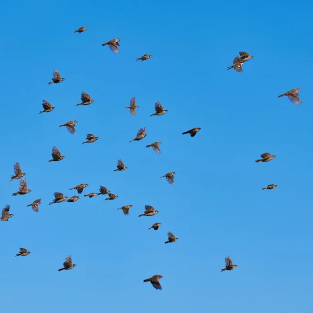 ‘I will drop the whole lot and get there’ ‘I will drop the whole lot and get there’