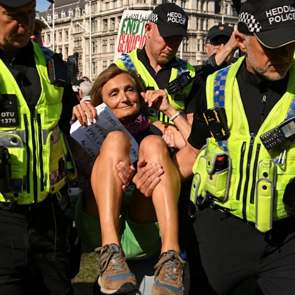 After mass arrests, what occurs subsequent with Palestine Motion ban? After mass arrests, what occurs subsequent with Palestine Motion ban?
