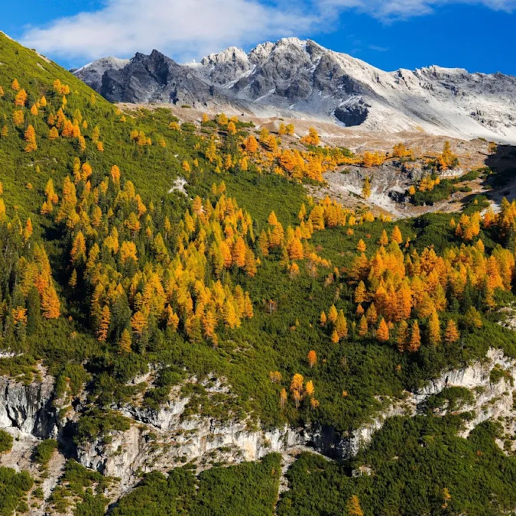 One Of Italy’s Most Harmful Winding Roads Is Finest Prevented By Insecure Drivers One Of Italy’s Most Harmful Winding Roads Is Finest Prevented By Insecure Drivers