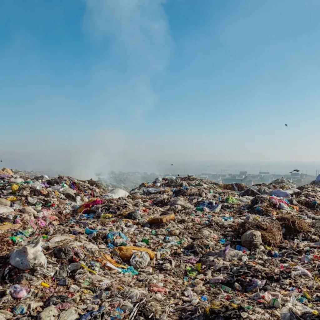 Current research finds ‘rubbish lasagnas’ forming in open landfills throughout US launch staggering quantity of air air pollution: ‘One thing has gone awry’ Current research finds ‘rubbish lasagnas’ forming in open landfills throughout US launch staggering quantity of air air pollution: ‘One thing has gone awry’