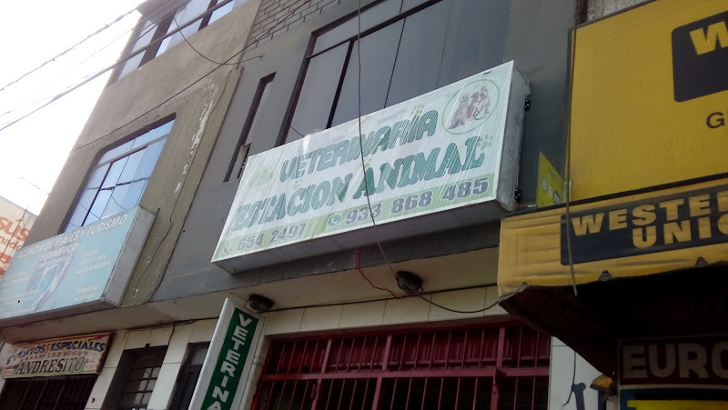 Veterinaria Violeta Revisión Y Opiniones Veterinaria Violeta Revisión Y Opiniones