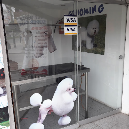 Pet Shop Super Can Revisión Y Opiniones Pet Shop Super Can Revisión Y Opiniones