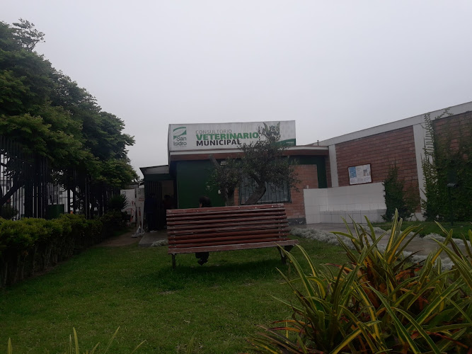 Municipalidad De San Isidro – Veterinario Municipal Revisión Y Opiniones Municipalidad De San Isidro – Veterinario Municipal Revisión Y Opiniones