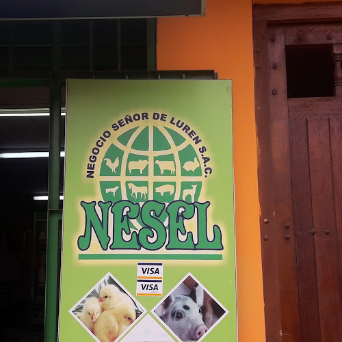 Veterinaria Nesel Revisión Y Opiniones Veterinaria Nesel Revisión Y Opiniones