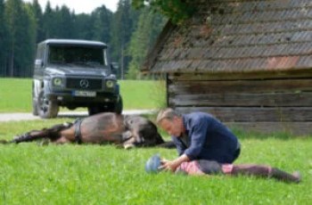 Frühling – Sand unter den Füßen: Herzkino, 20.15 Uhr Frühling – Sand unter den Füßen: Herzkino, 20.15 Uhr