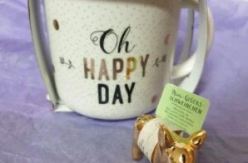 Last-Minute-Geschenke für Bücherwürmer Last-Minute-Geschenke für Bücherwürmer