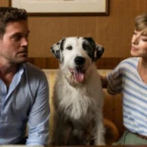 ZDF-Herzkino, 20.15 Uhr: “Inga Lindström: Das Haus der 1000 Sterne” ZDF-Herzkino, 20.15 Uhr: “Inga Lindström: Das Haus der 1000 Sterne”