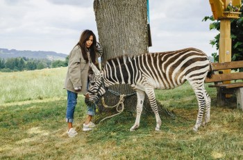 “Ein Zebra im Gepäck – Frühling”: ZDF, 20.15 Uhr “Ein Zebra im Gepäck – Frühling”: ZDF, 20.15 Uhr