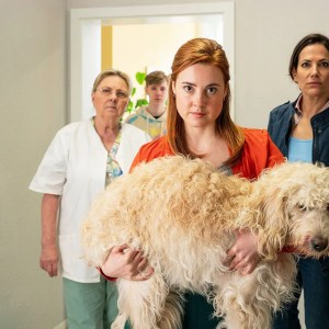“Zwei Frauen für alle Felle – Neuanfang”: ARD, 20:15 Uhr “Zwei Frauen für alle Felle – Neuanfang”: ARD, 20:15 Uhr