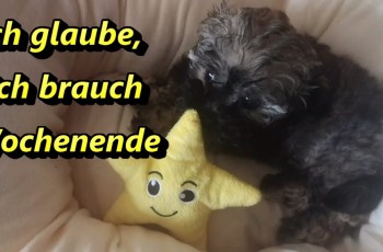 Ich glaube, ich brauch ein Wochenende,… Ich glaube, ich brauch ein Wochenende,…