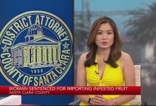 Hai phụ nữ gốc Việt tại San Jose bị kết tội vì bán trái cây bị nhiễm Hai phụ nữ gốc Việt tại San Jose bị kết tội vì bán trái cây bị nhiễm