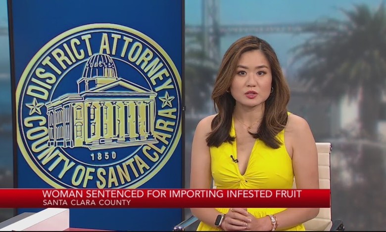 Hai phụ nữ gốc Việt tại San Jose bị kết tội vì bán trái cây bị nhiễm Hai phụ nữ gốc Việt tại San Jose bị kết tội vì bán trái cây bị nhiễm