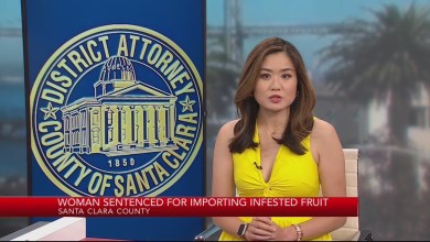 Hai phụ nữ gốc Việt tại San Jose bị kết tội vì bán trái cây bị nhiễm Hai phụ nữ gốc Việt tại San Jose bị kết tội vì bán trái cây bị nhiễm