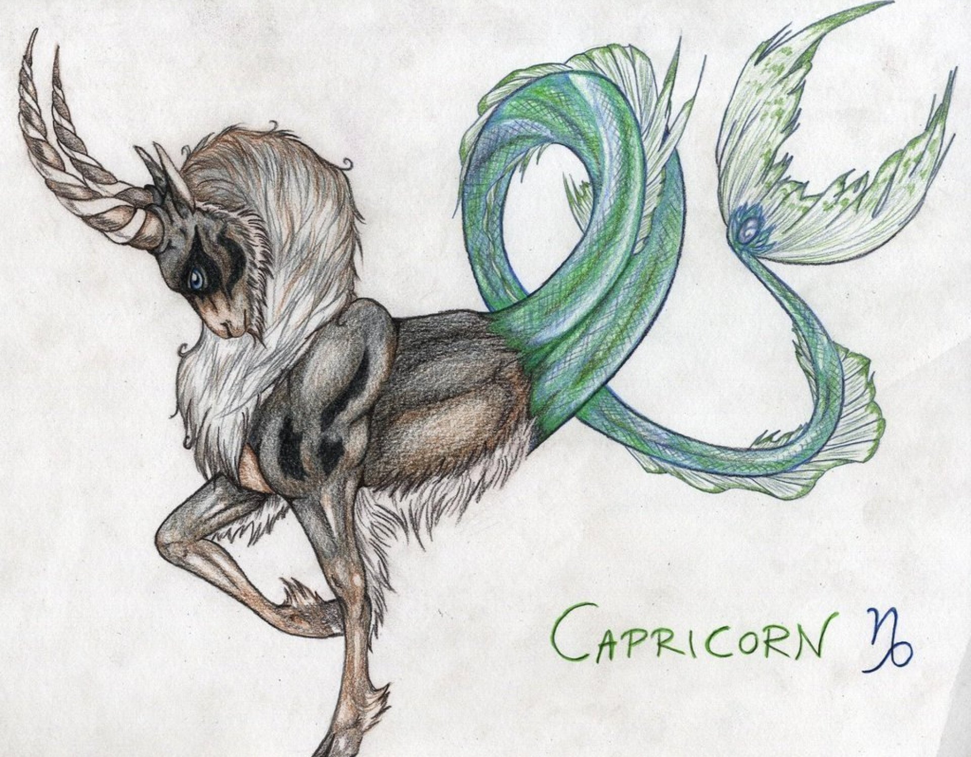 What Zodiac Is Dec 25 Capricorn or Sagittarius? What Zodiac Is Dec 25 Capricorn or Sagittarius?