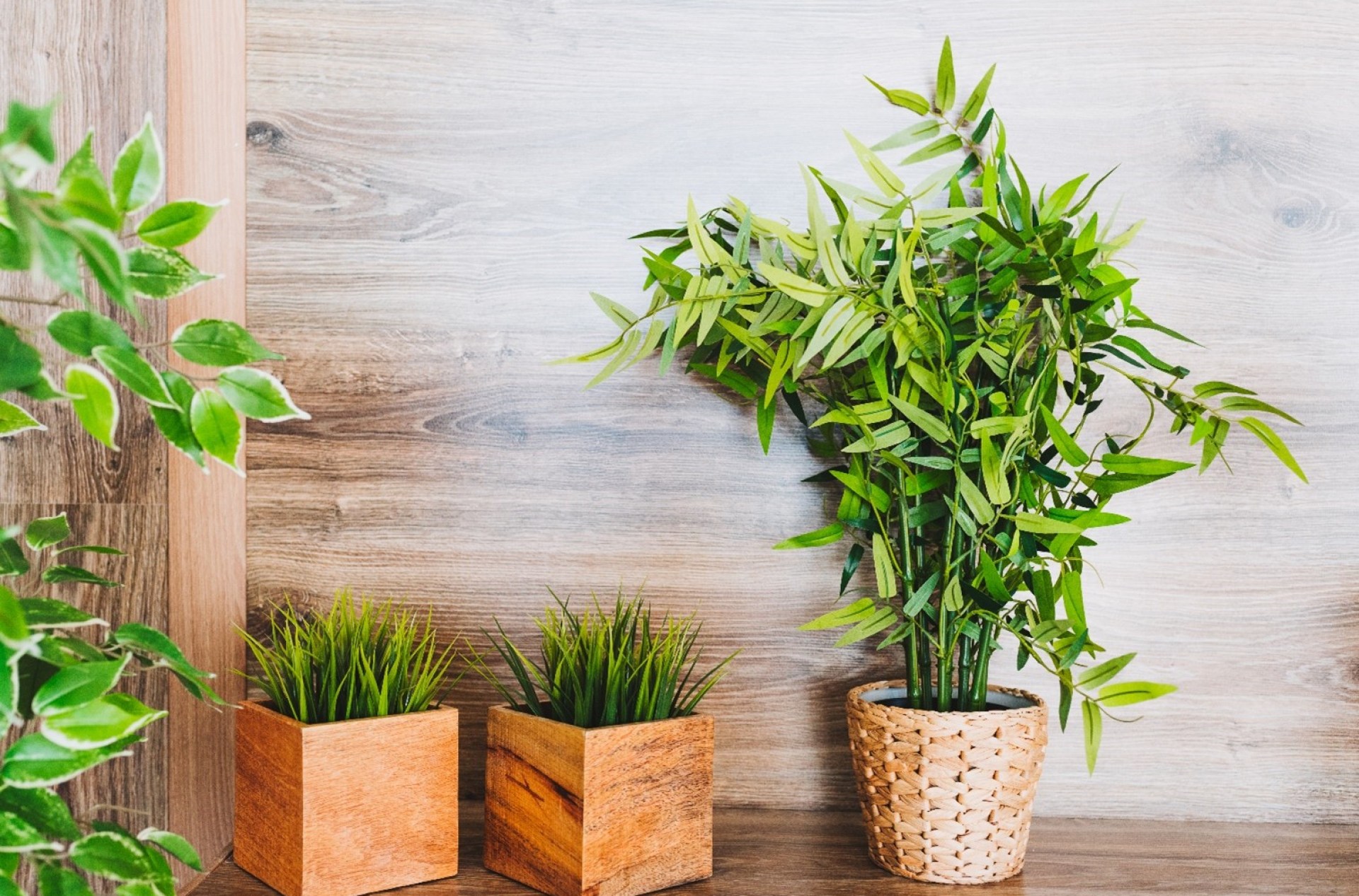 Secure Artificial Plants Outdoors DIY Pots & Stability Secure Artificial Plants Outdoors DIY Pots & Stability