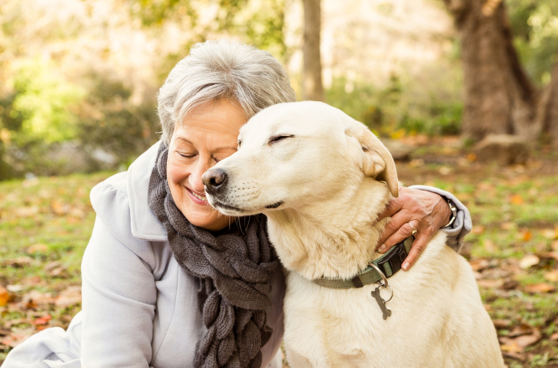 How Much Does Contract Companion Cost? How Much Does Contract Companion Cost?