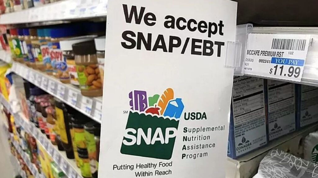 Do Wawa Take Food Stamps? A Quick Guide Do Wawa Take Food Stamps? A Quick Guide