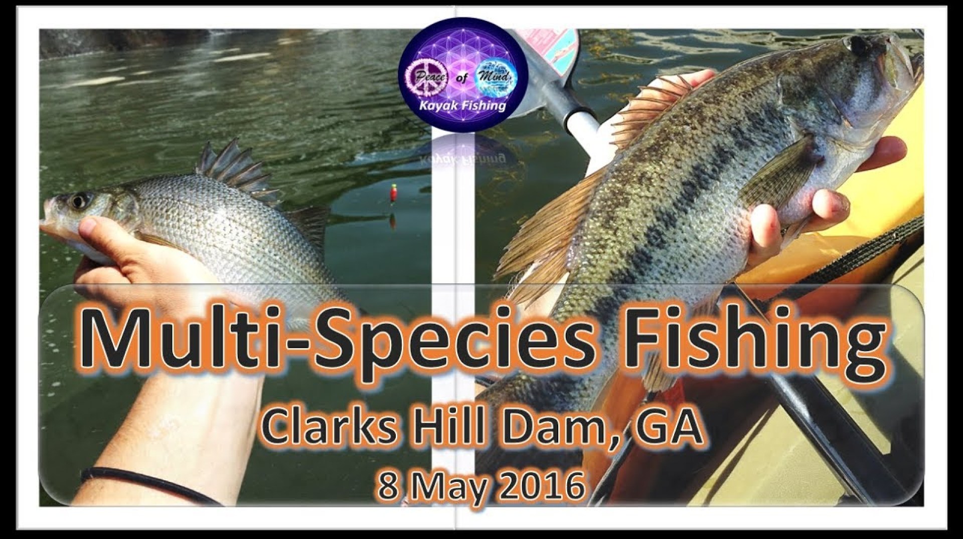 How to Catch Striped Bass on Strom Thurmond Lake How to Catch Striped Bass on Strom Thurmond Lake