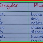 Stroma vs. Stromata Unraveling the Difference Stroma vs. Stromata Unraveling the Difference