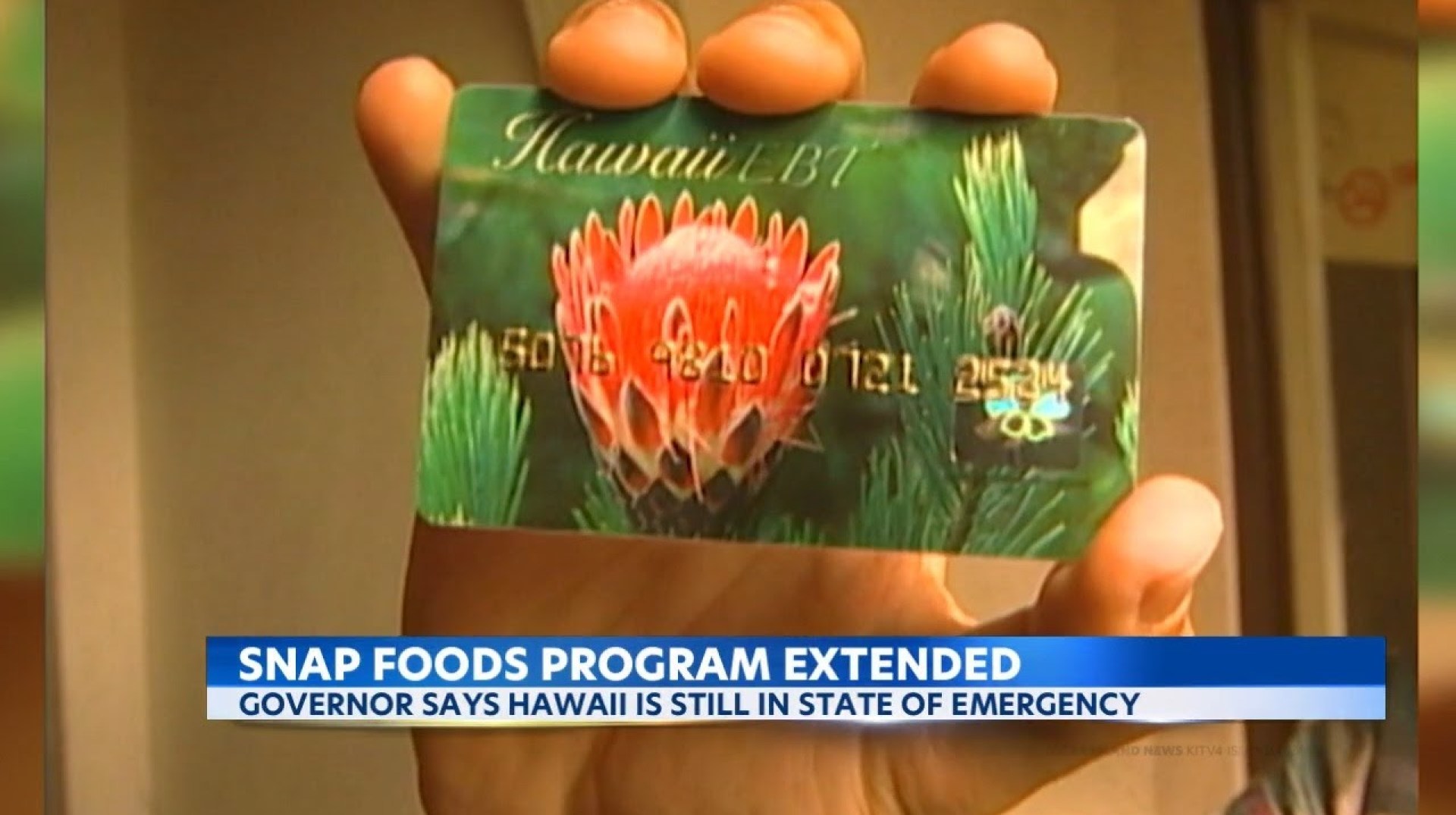 How to Apply for Food Stamps in Hawaii How to Apply for Food Stamps in Hawaii