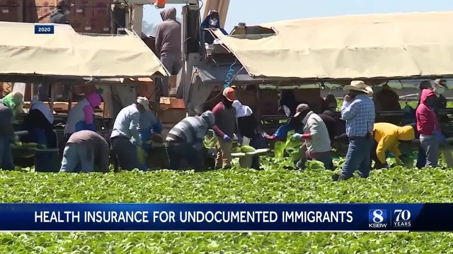 How Do Illegal Immigrants Get Food Stamps? How Do Illegal Immigrants Get Food Stamps?