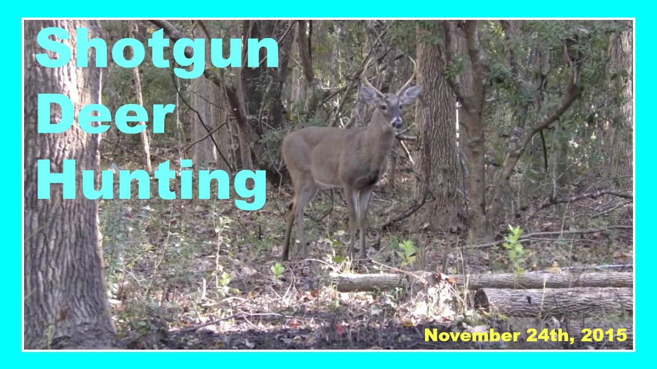 How to Pattern a Deer A Guide to Understanding Deer Markings How to Pattern a Deer A Guide to Understanding Deer Markings
