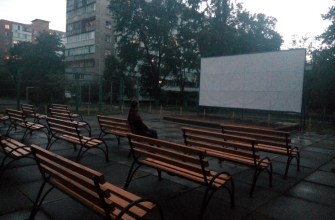 Кінотеатр просто неба на Лісовому масиві Відкритий кінотеатр Київ Кінотеатр просто неба на Лісовому масиві Відкритий кінотеатр Київ