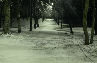 Бейс Исроель Центр культури Київ Бейс Исроель Центр культури Київ