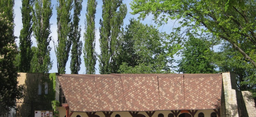 Книгарня Шабля козака Мамая Книгарня Київ Книгарня Шабля козака Мамая Книгарня Київ