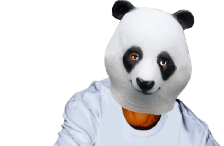 The First Online Artist Management The First Online Artist Management