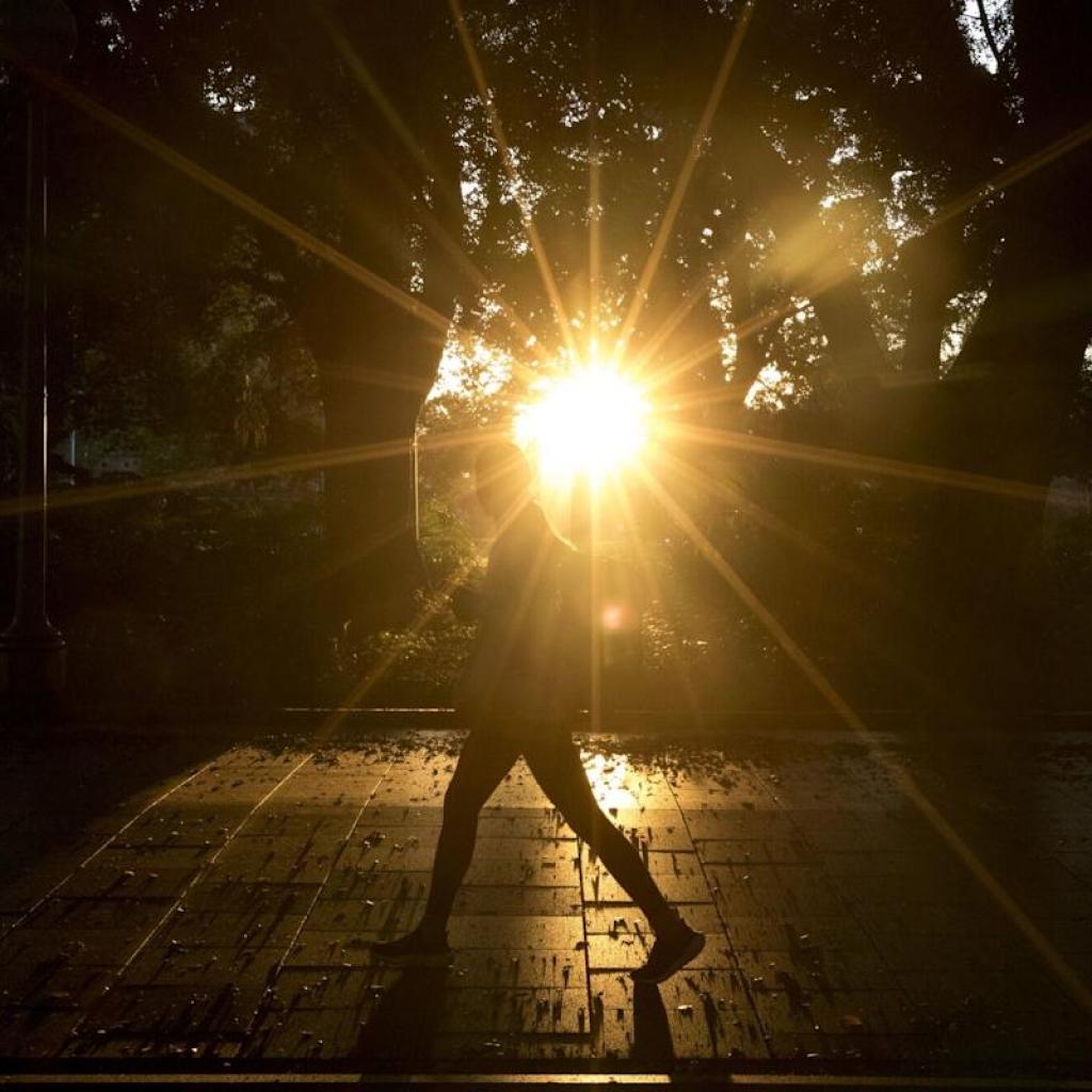 Hedge Fund Startup That Replaced Analysts With AI Beats the Market Hedge Fund Startup That Replaced Analysts With AI Beats the Market