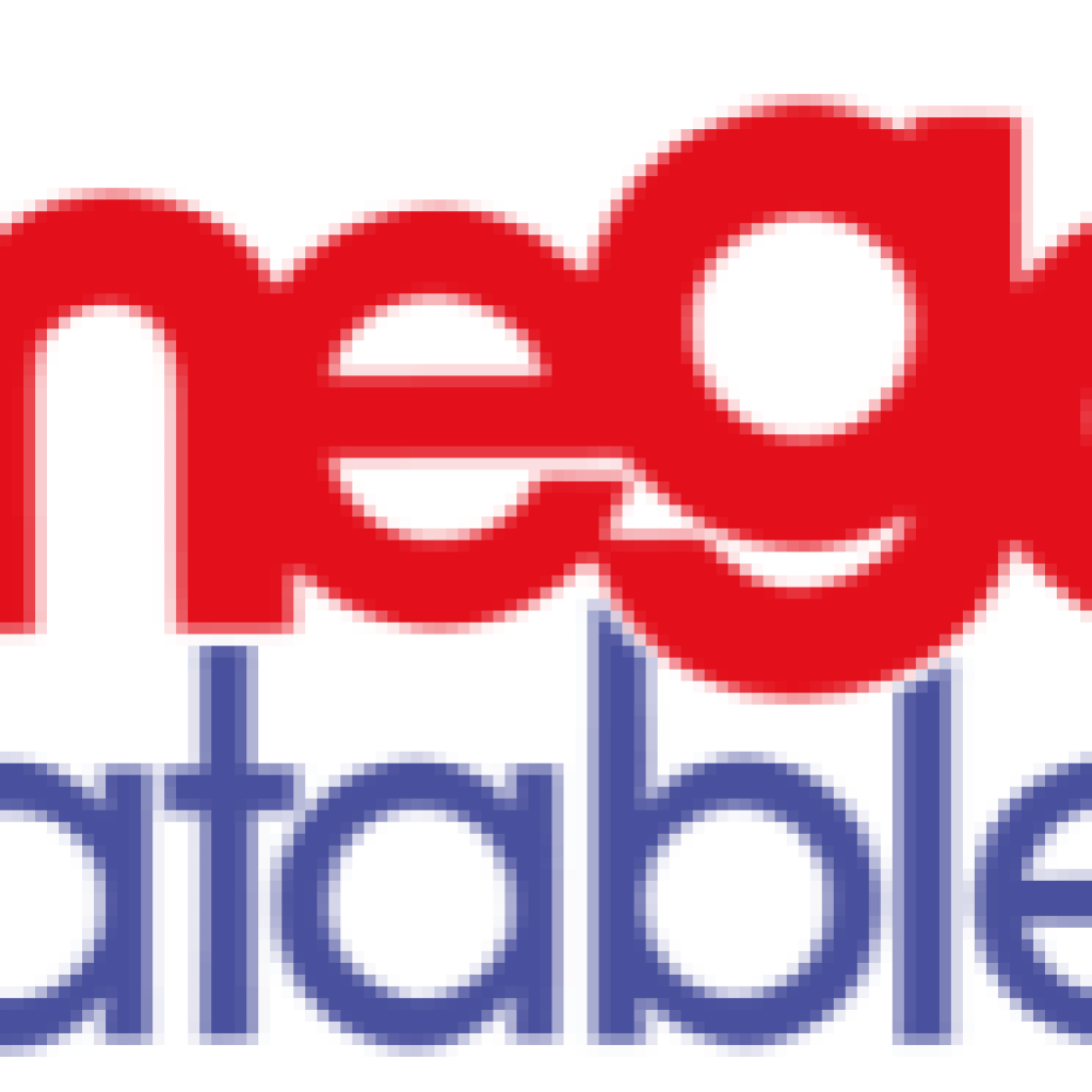 Megaflatables Celebrates Over 300 5-Star Google Reviews Megaflatables Celebrates Over 300 5-Star Google Reviews